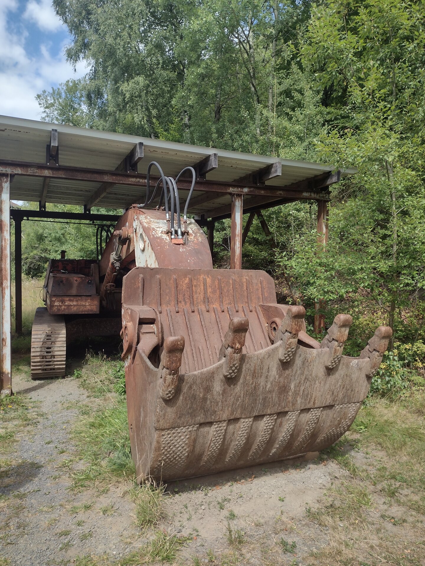IMG_20250824_131009499_HDR.jpg