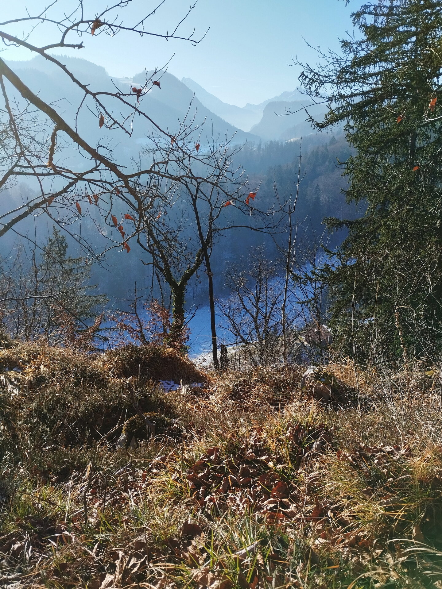 IMG_20251228_125251_Bildgröße ändern.jpg