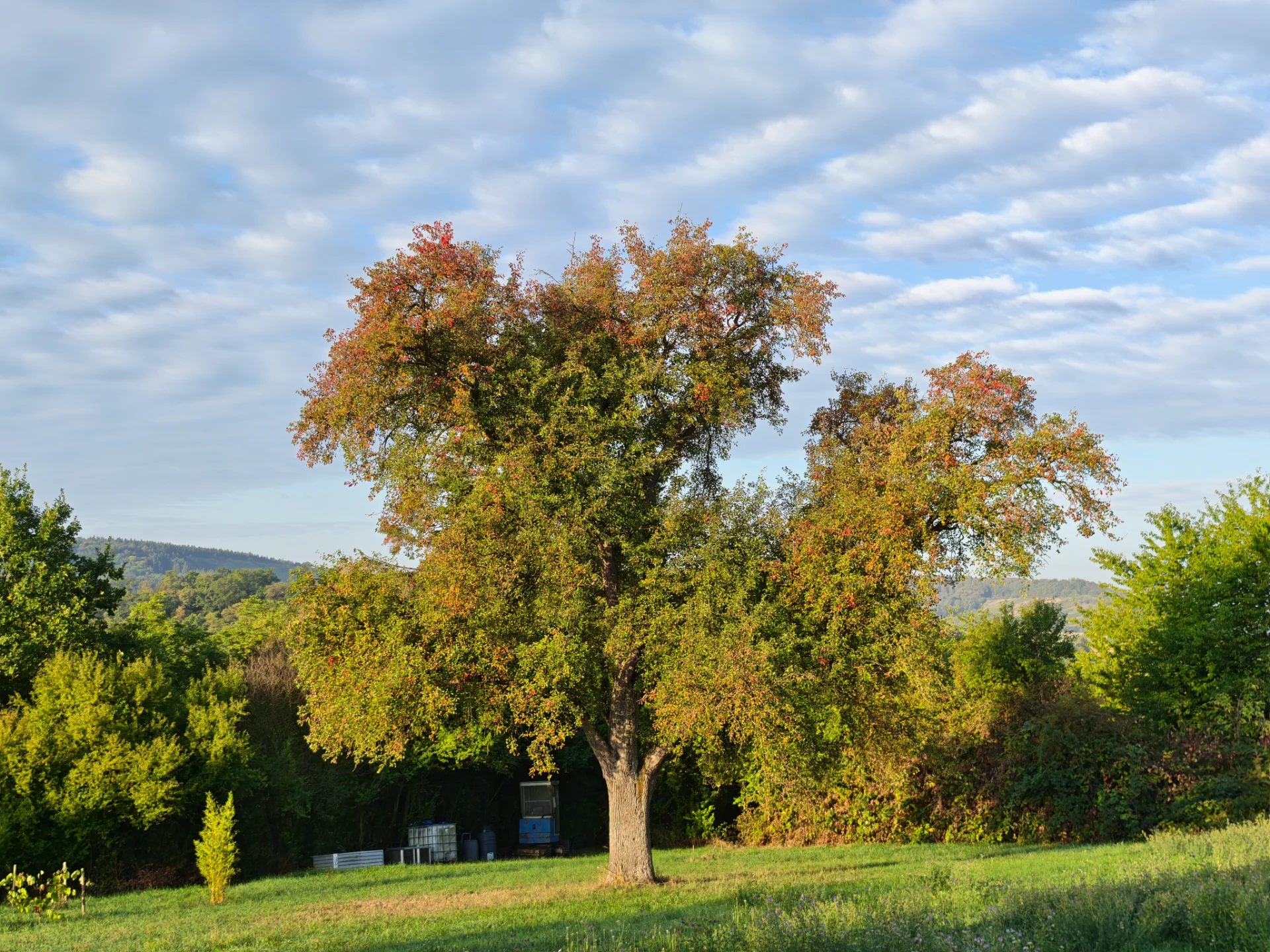 IMG_20260922_081720.webp