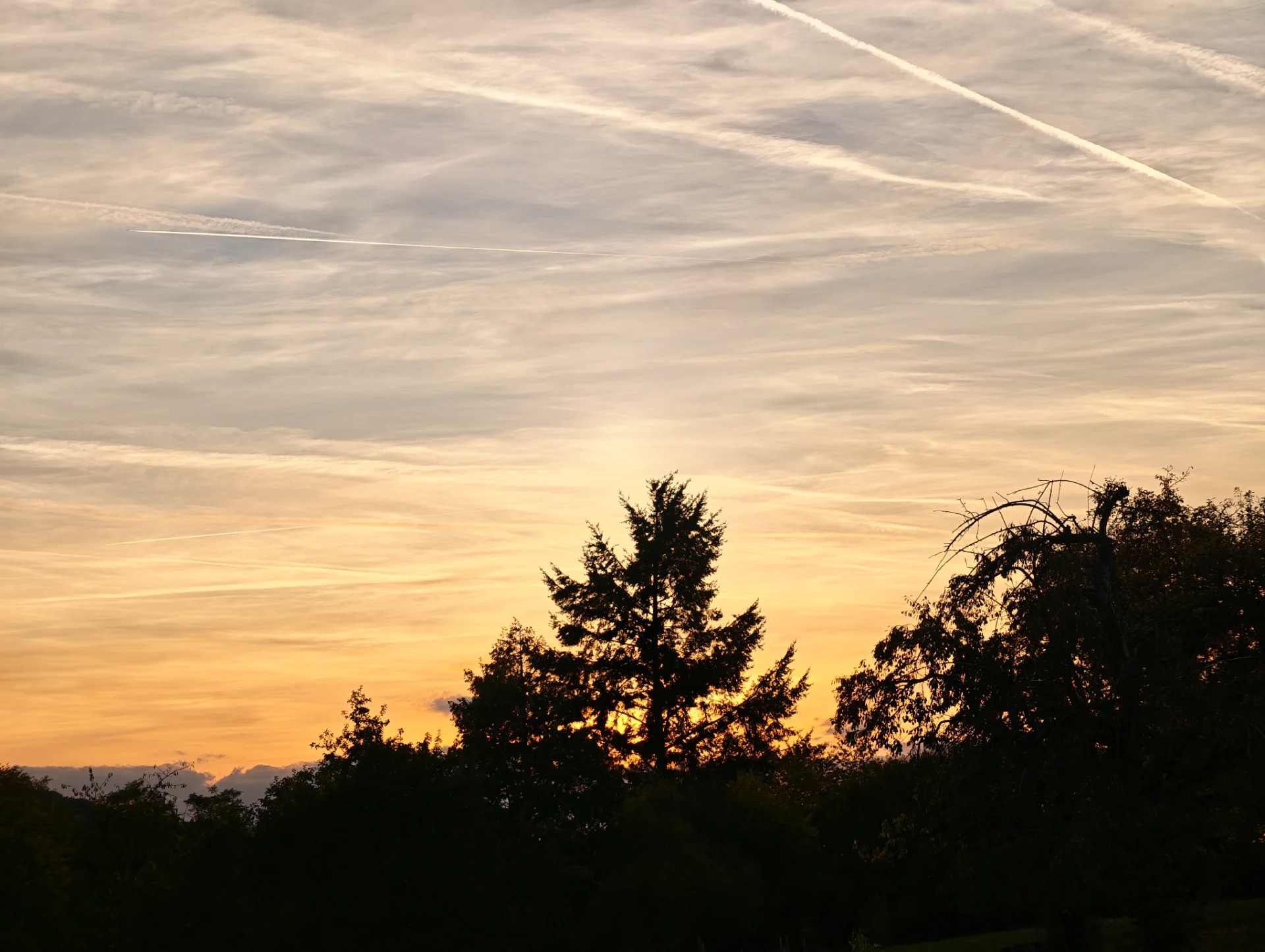 IMG_20261002_185110.webp