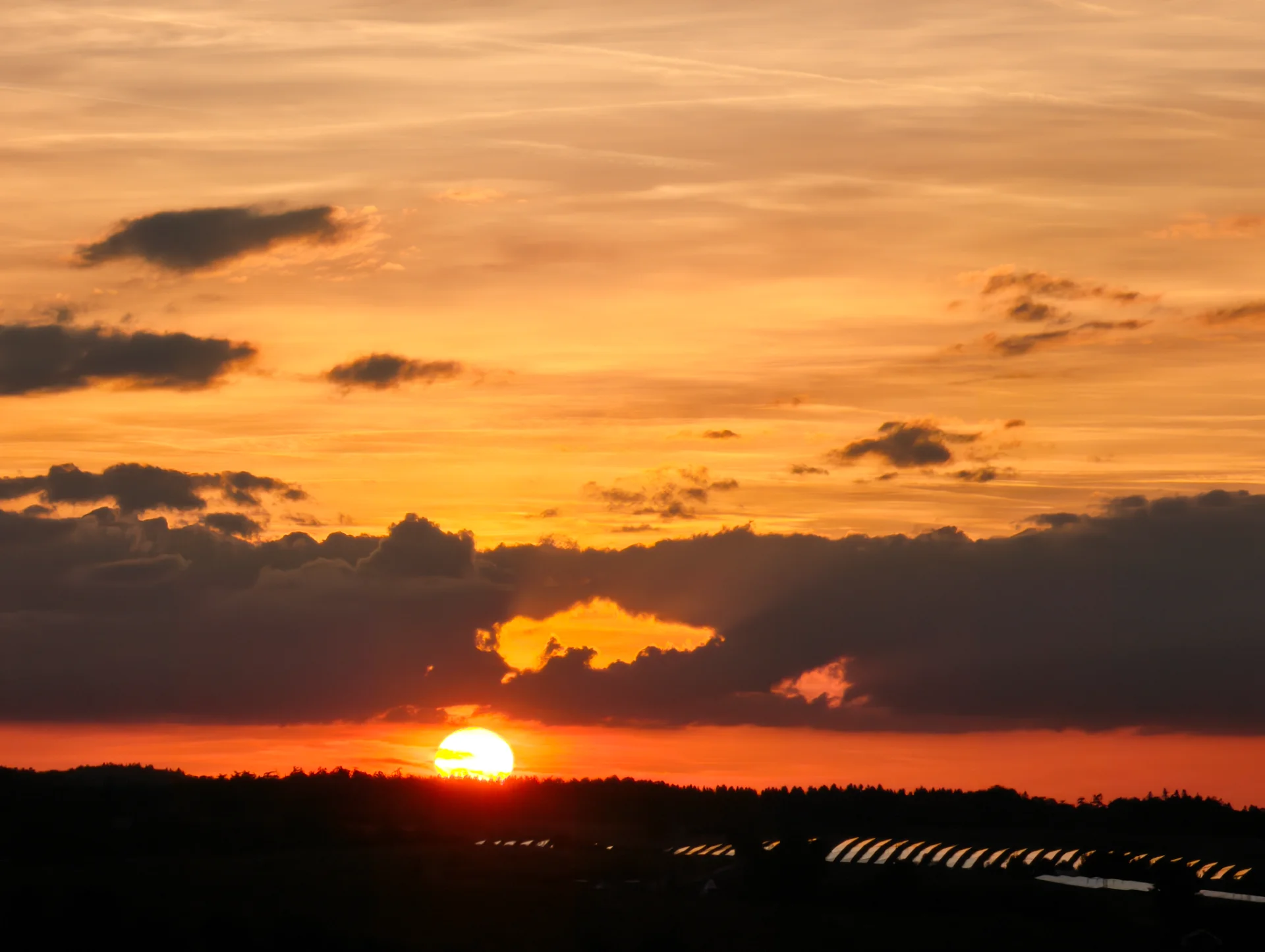IMG_20261002_185354.webp