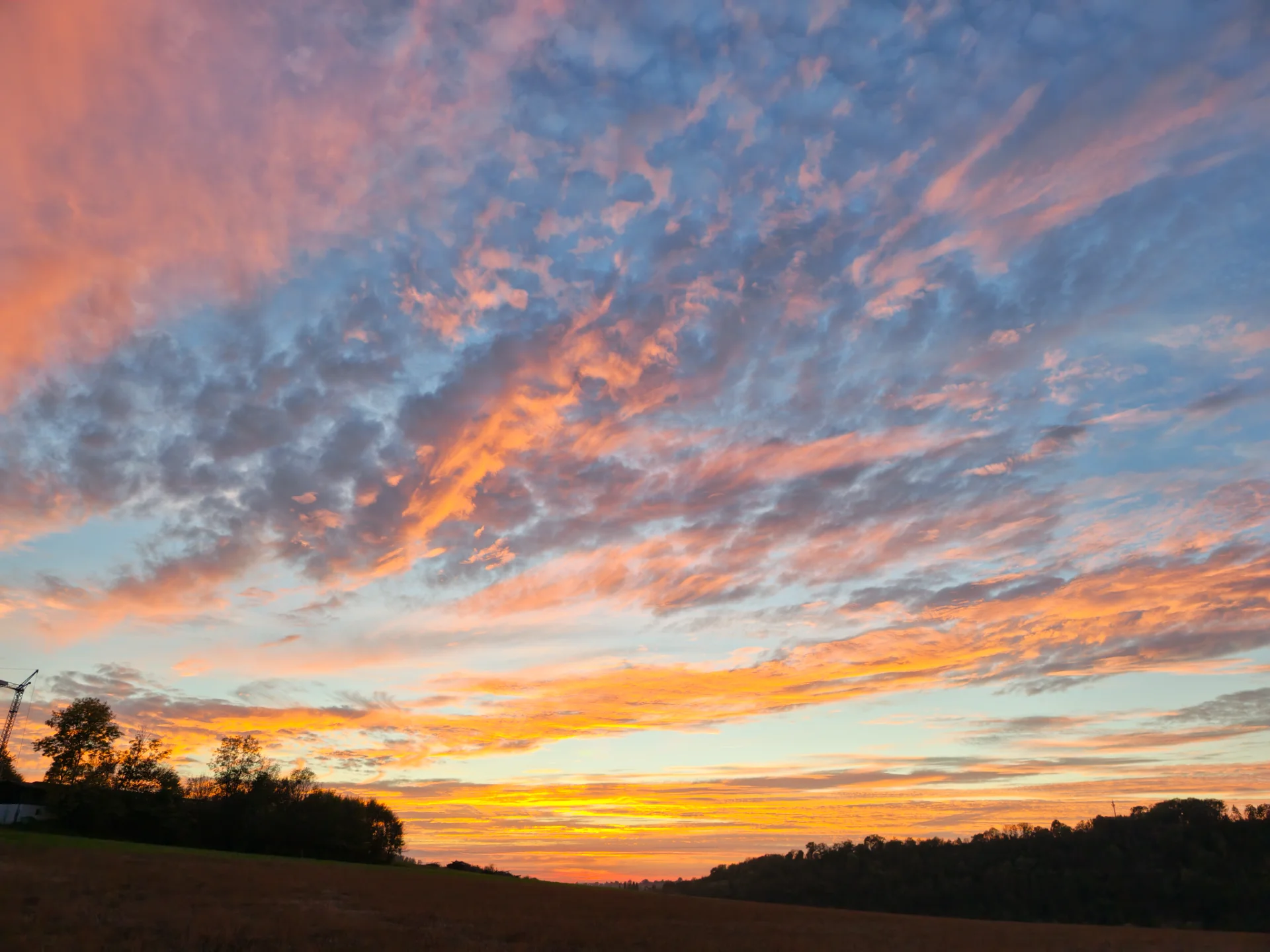 IMG_20261016_183720.webp