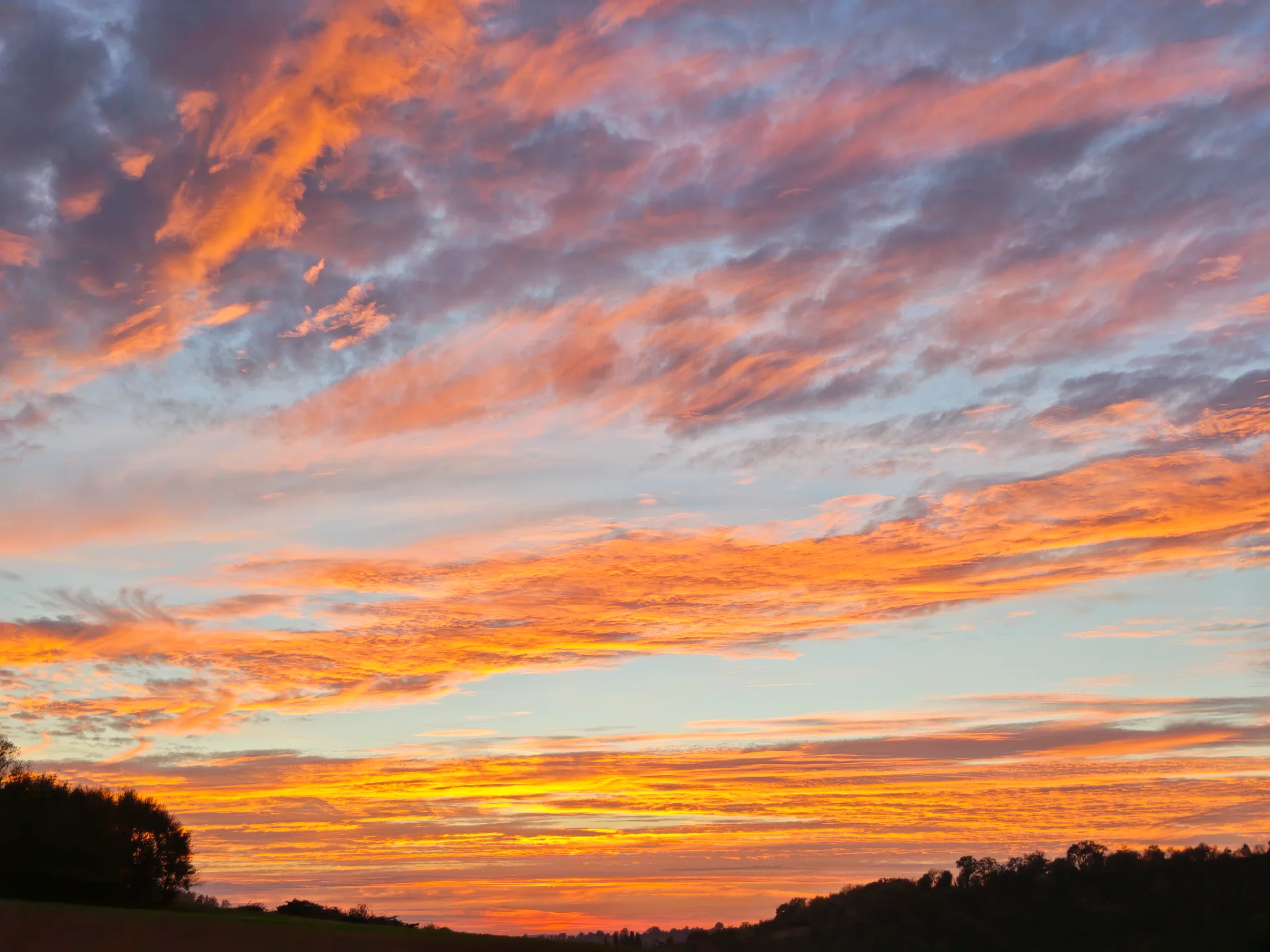 IMG_20261016_183731.webp