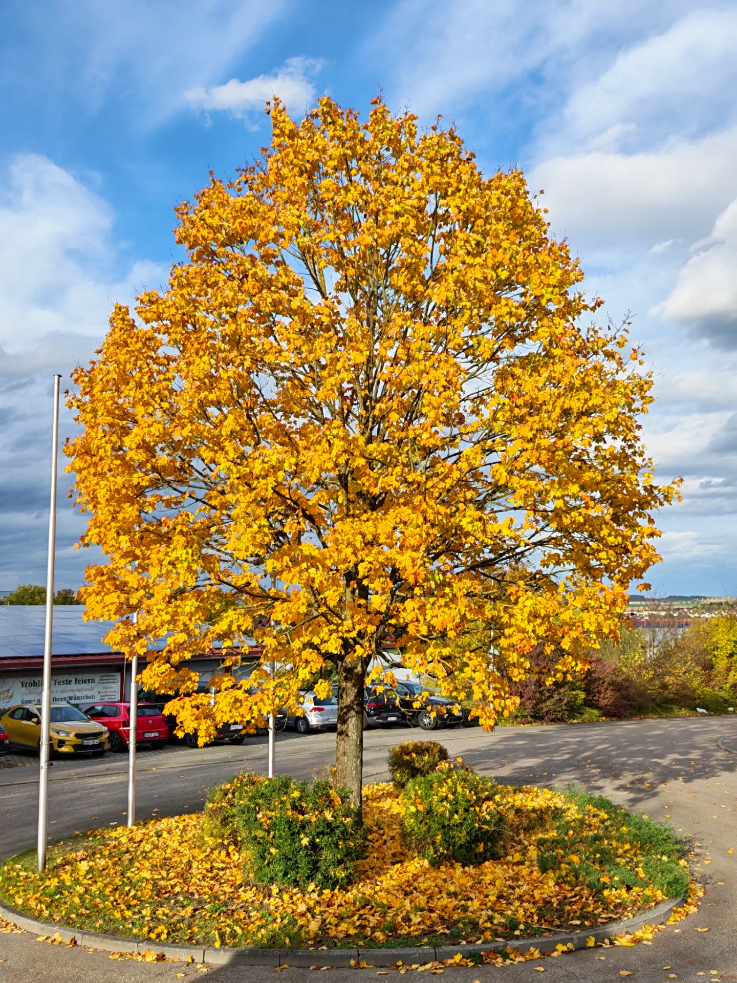 IMG_20261023_162507.webp