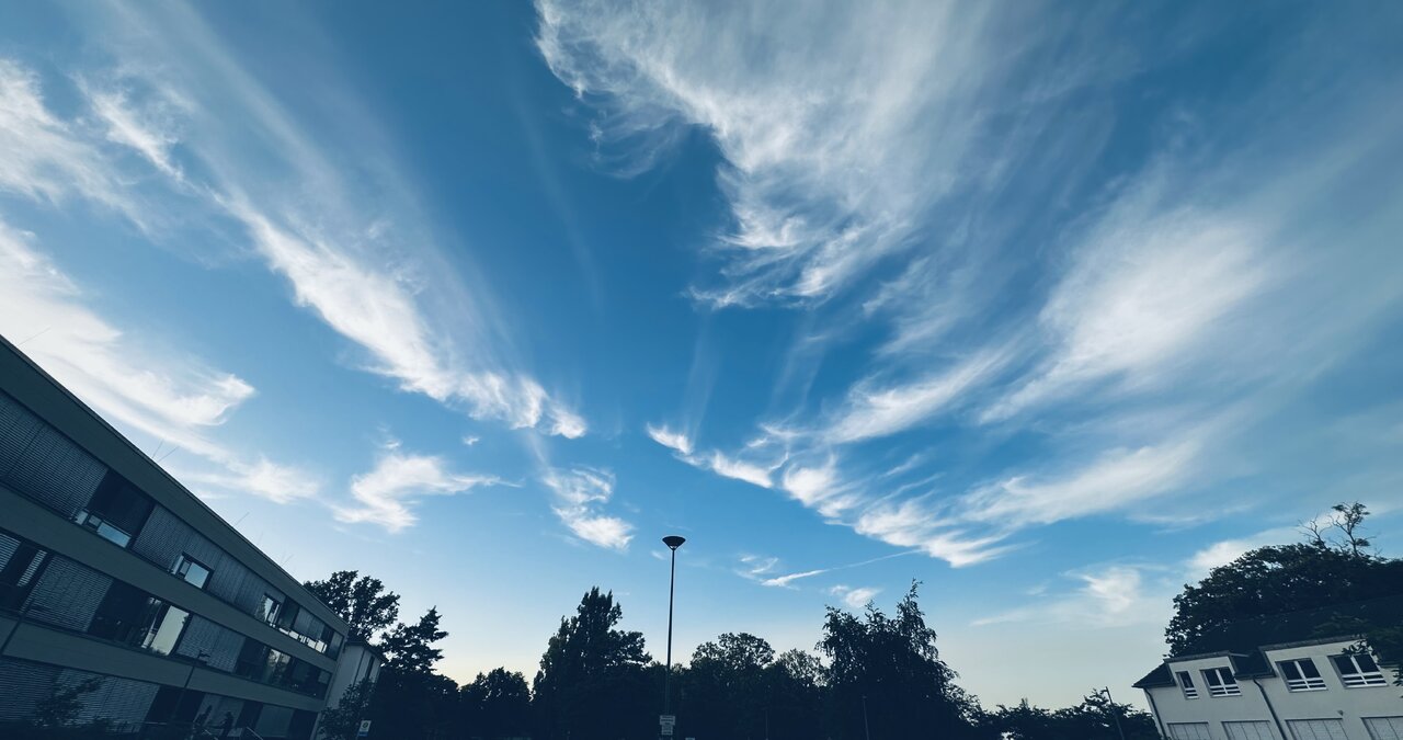 IMG_2555.jpeg