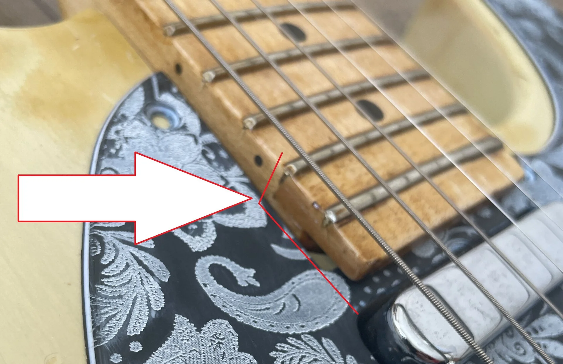 IMG_2712 - Kopie (2).webp