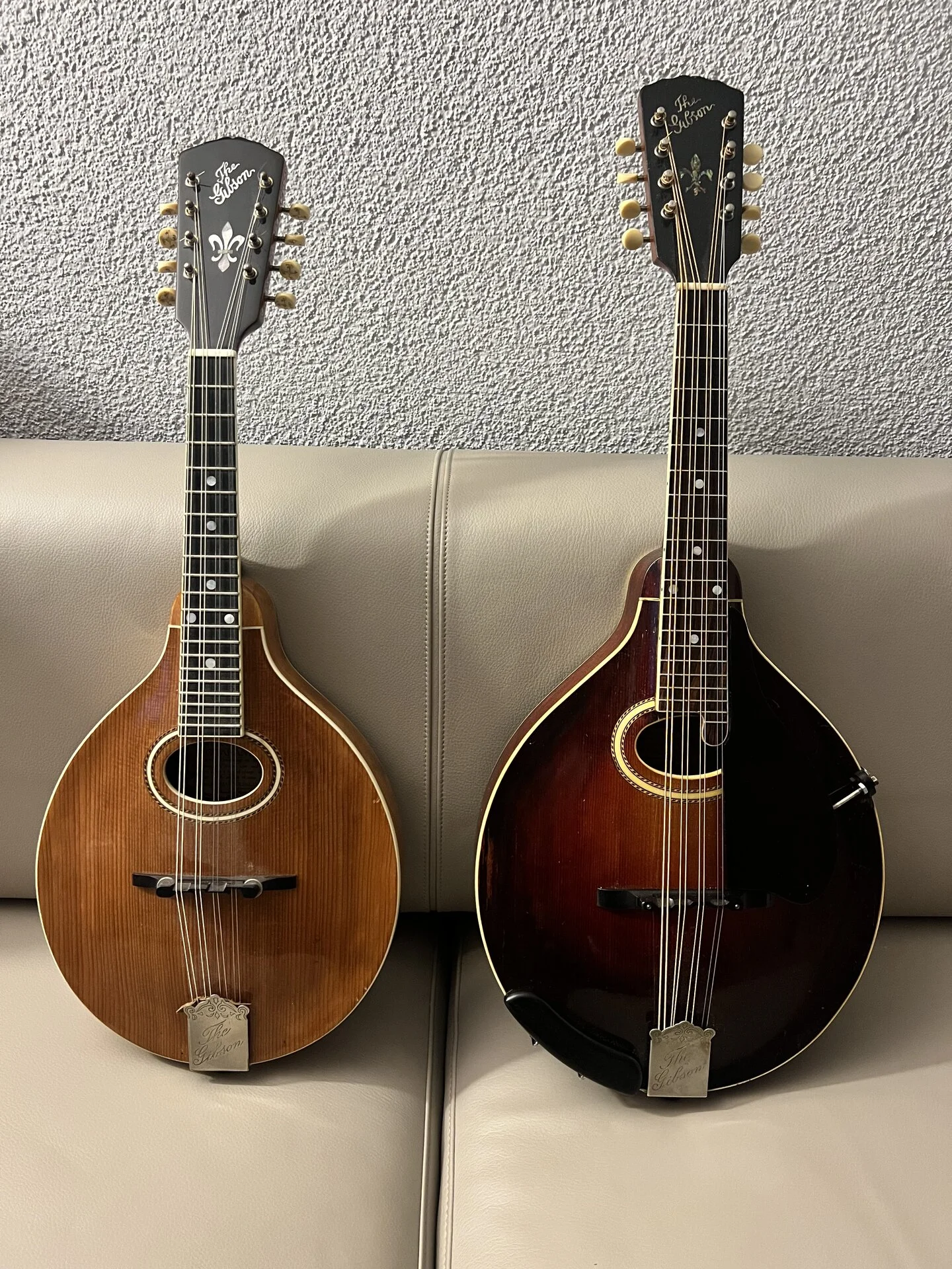 IMG_3676.jpeg