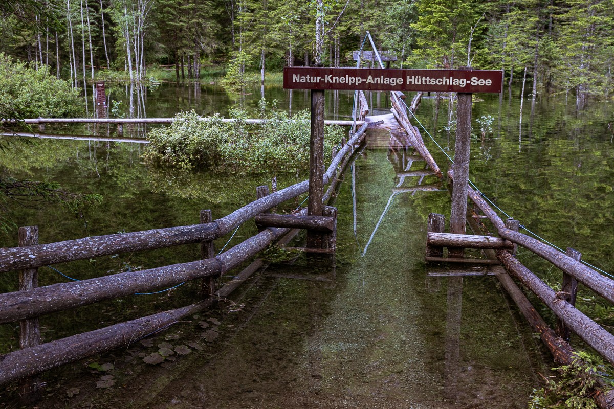 IMG_4328.jpg