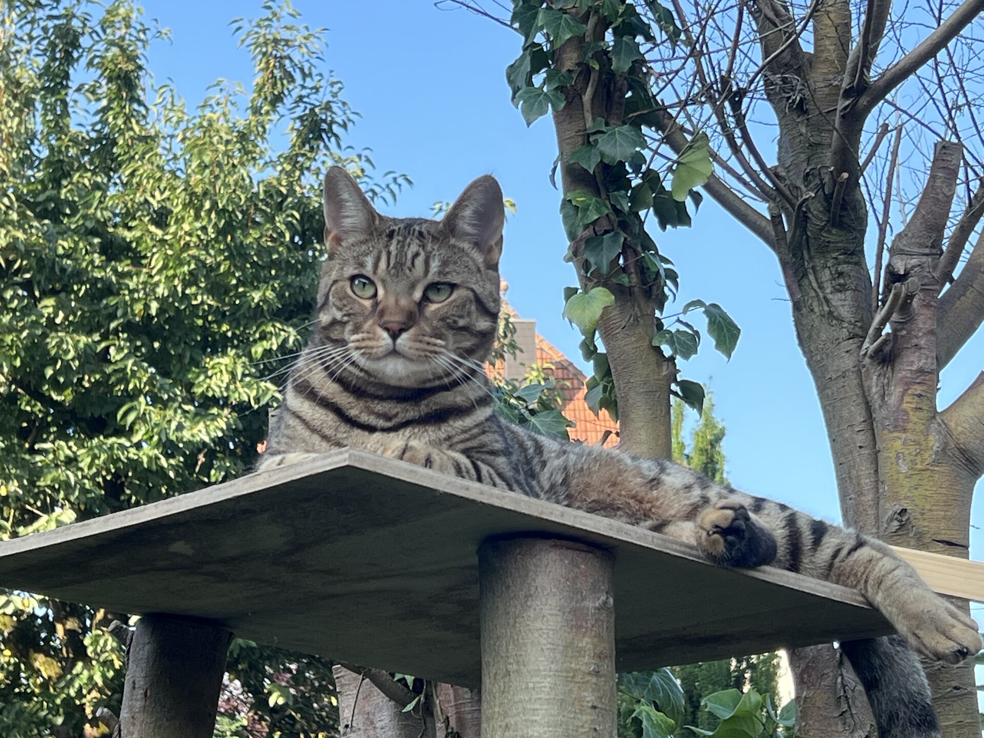 IMG_5304.jpeg