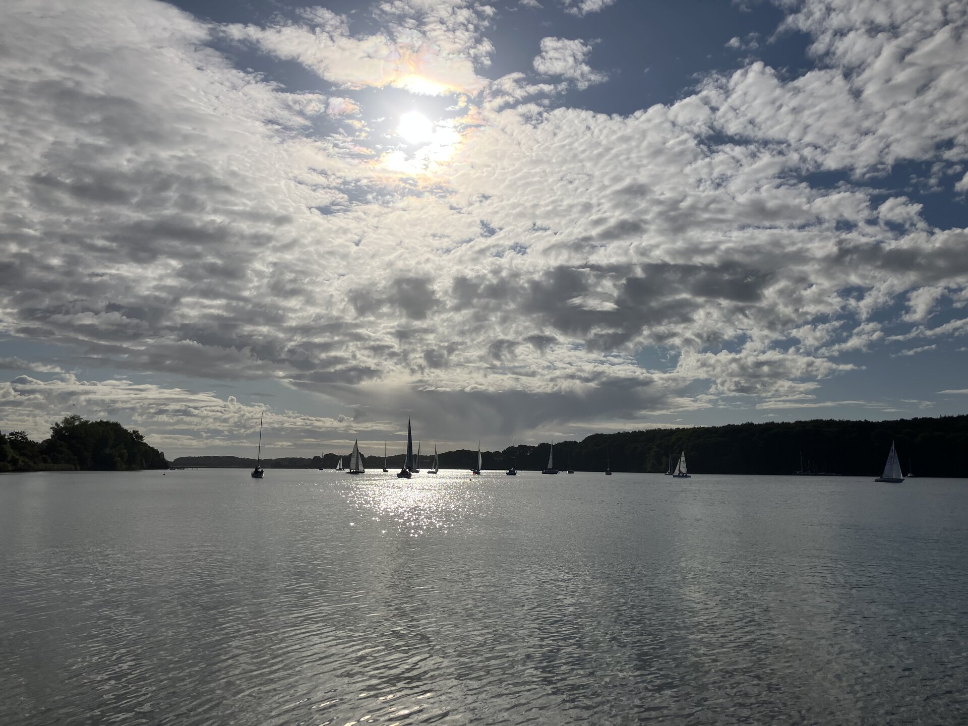 IMG_6769.jpeg