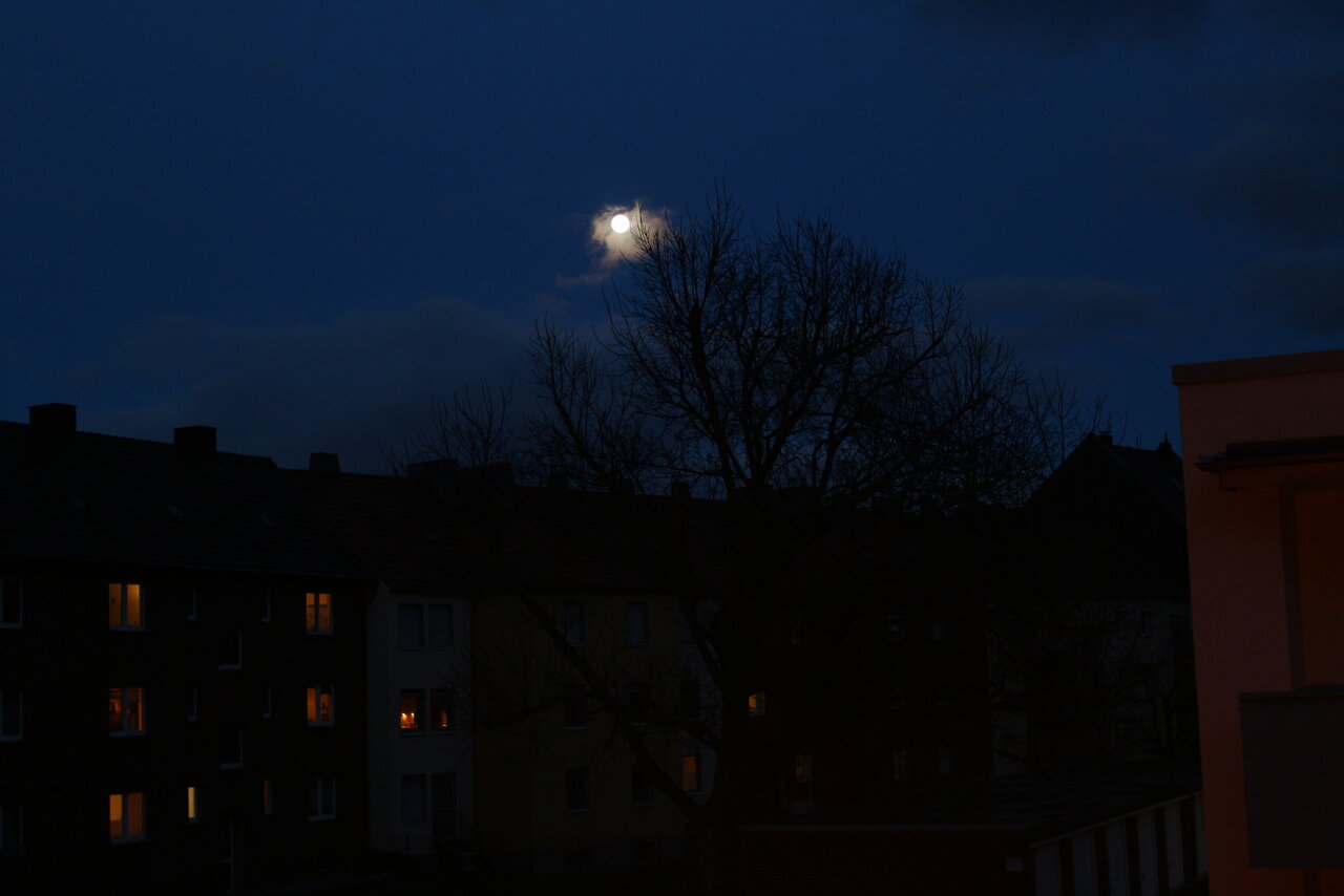 IMG_7333.JPG