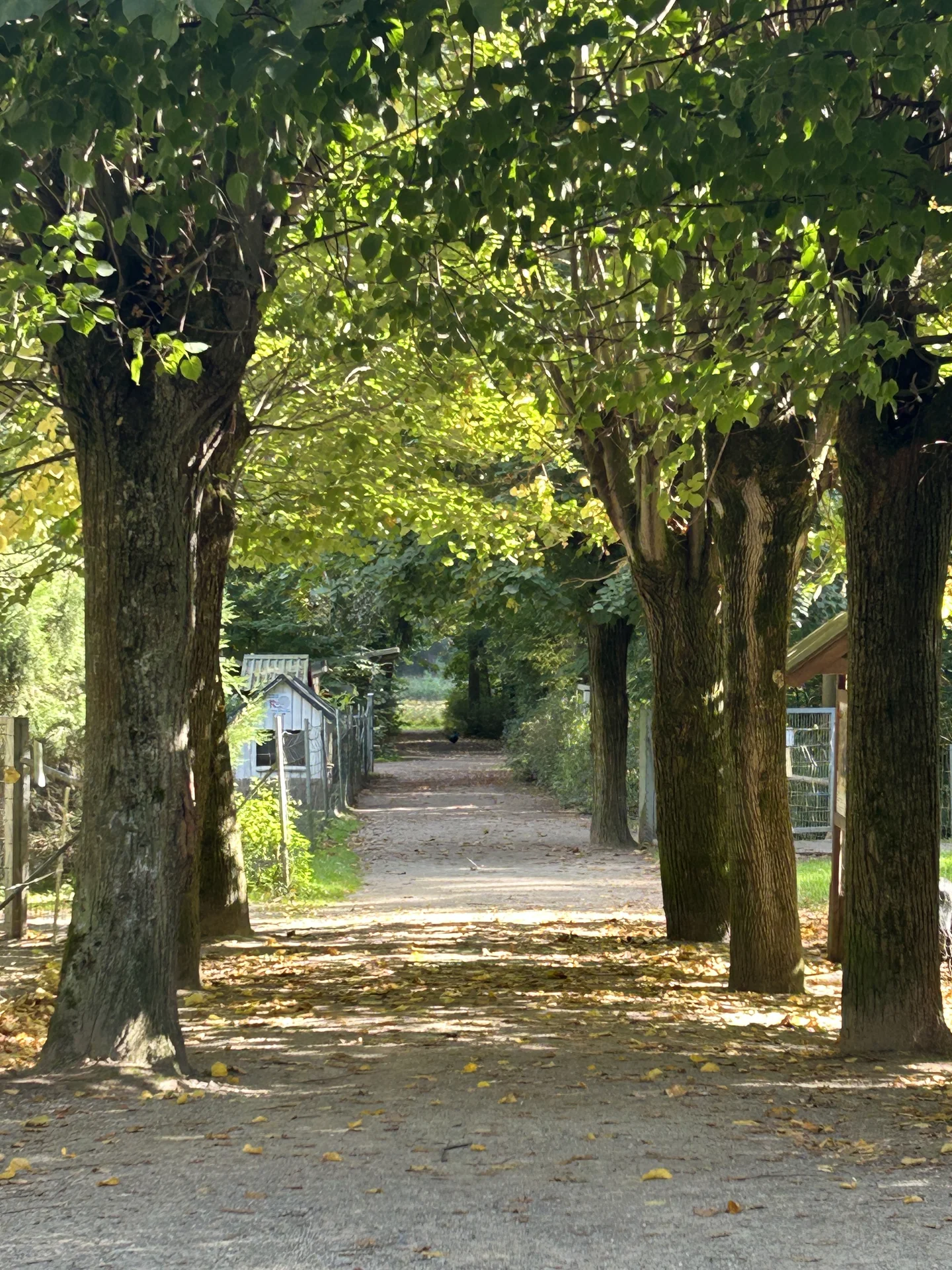 IMG_7584.webp