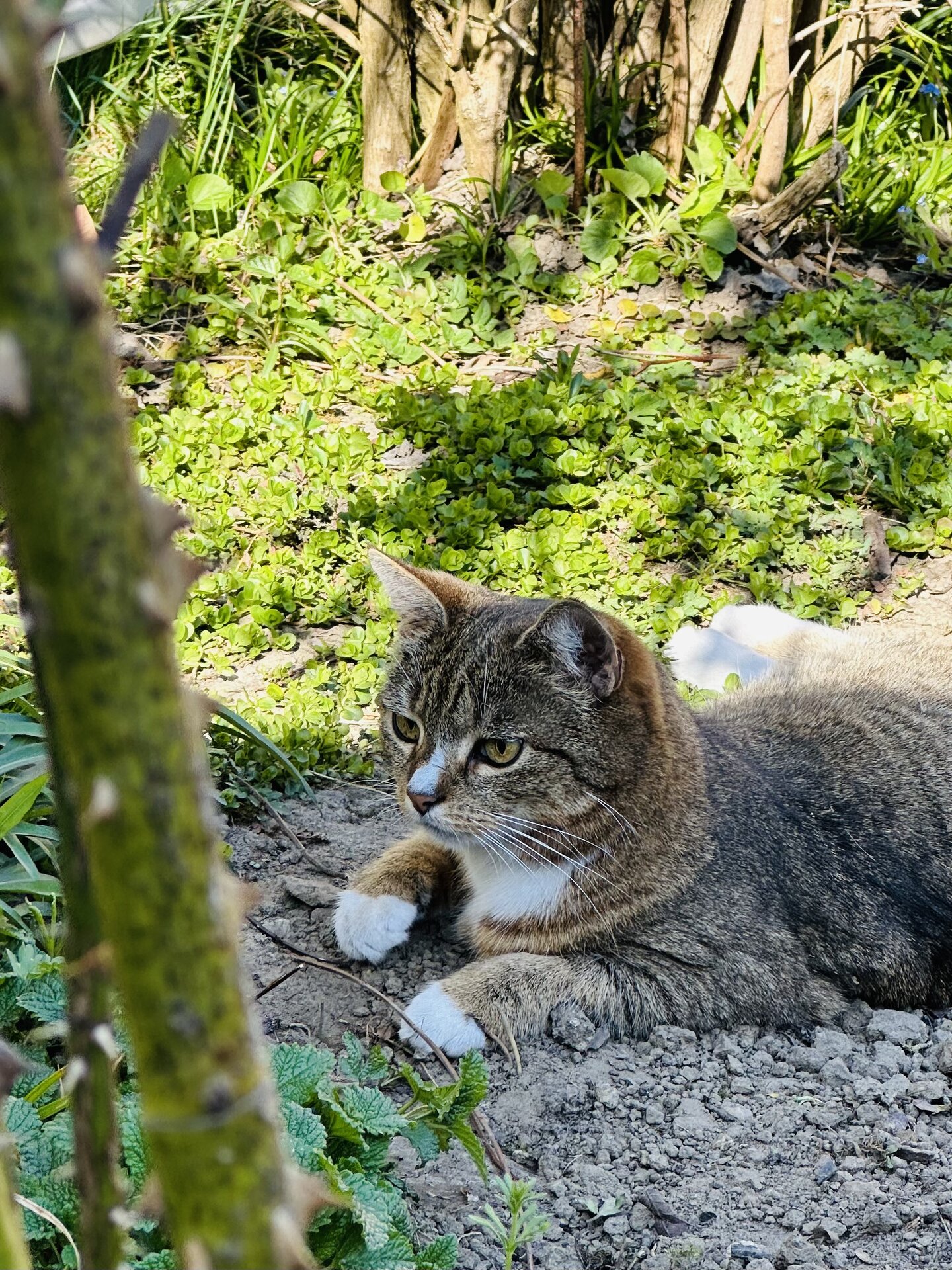 IMG_7876.jpeg