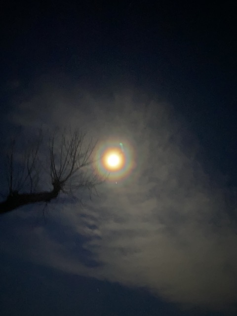 IMG_8377.jpeg
