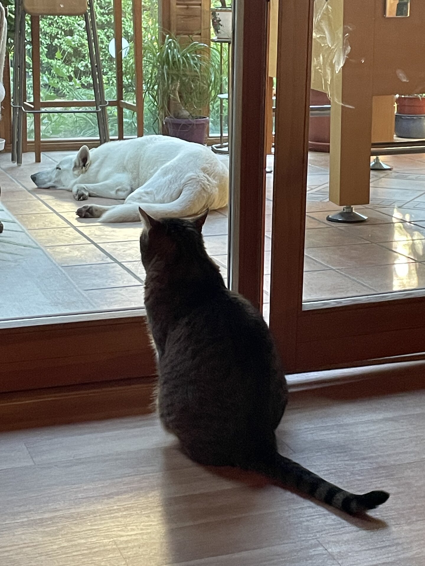 IMG_9115.jpeg