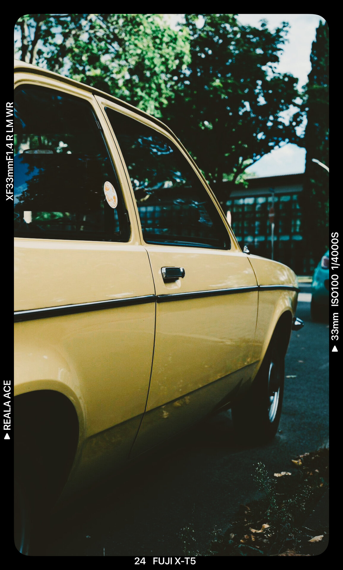 IMG_9609.jpeg