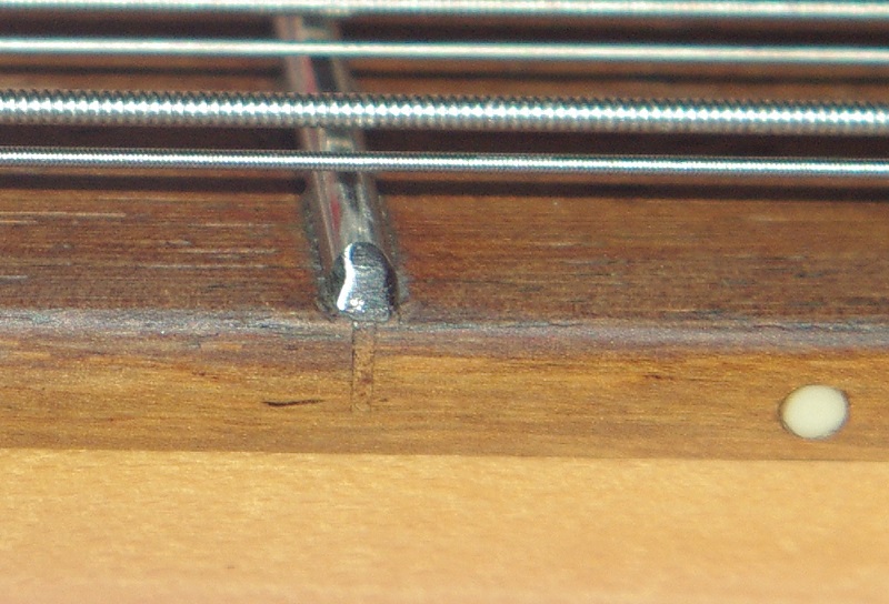 IMGP3134.JPG