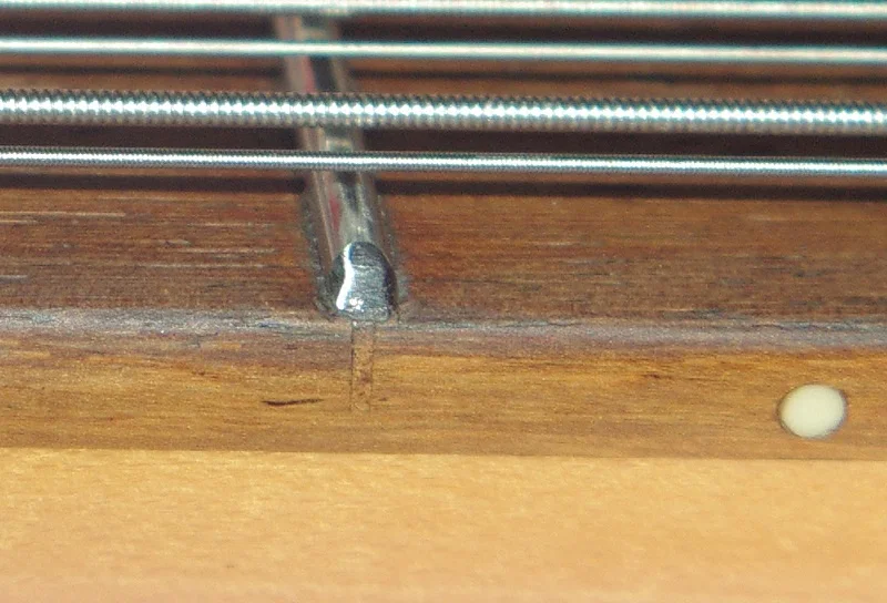 IMGP3134.JPG