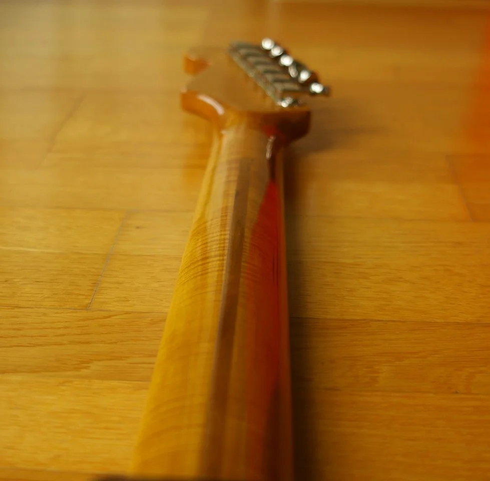 IMGP4163-1.webp