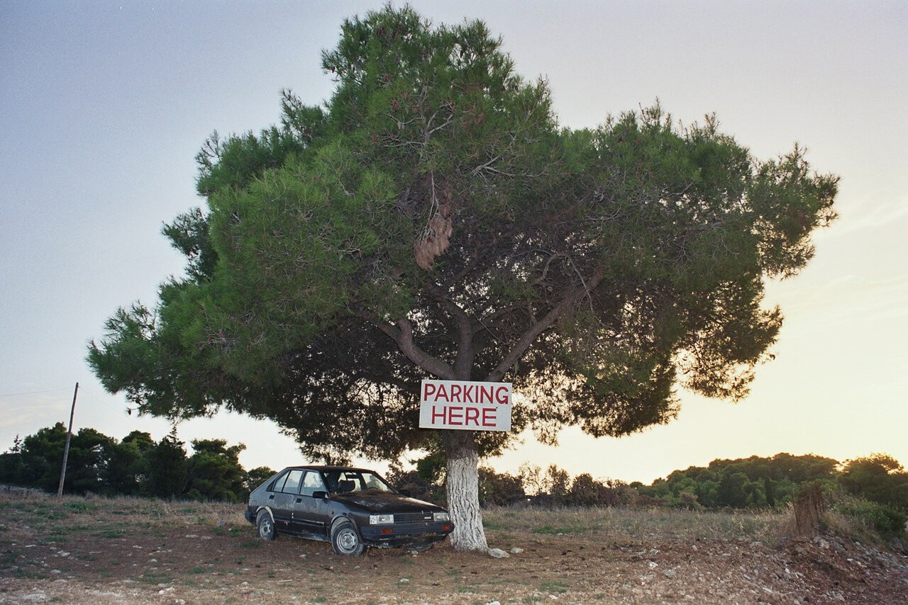 imm004_5.jpg
