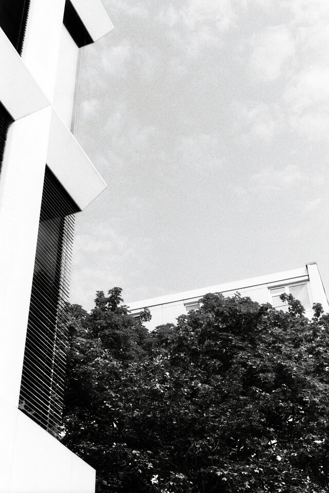 imm005_N5.jpg