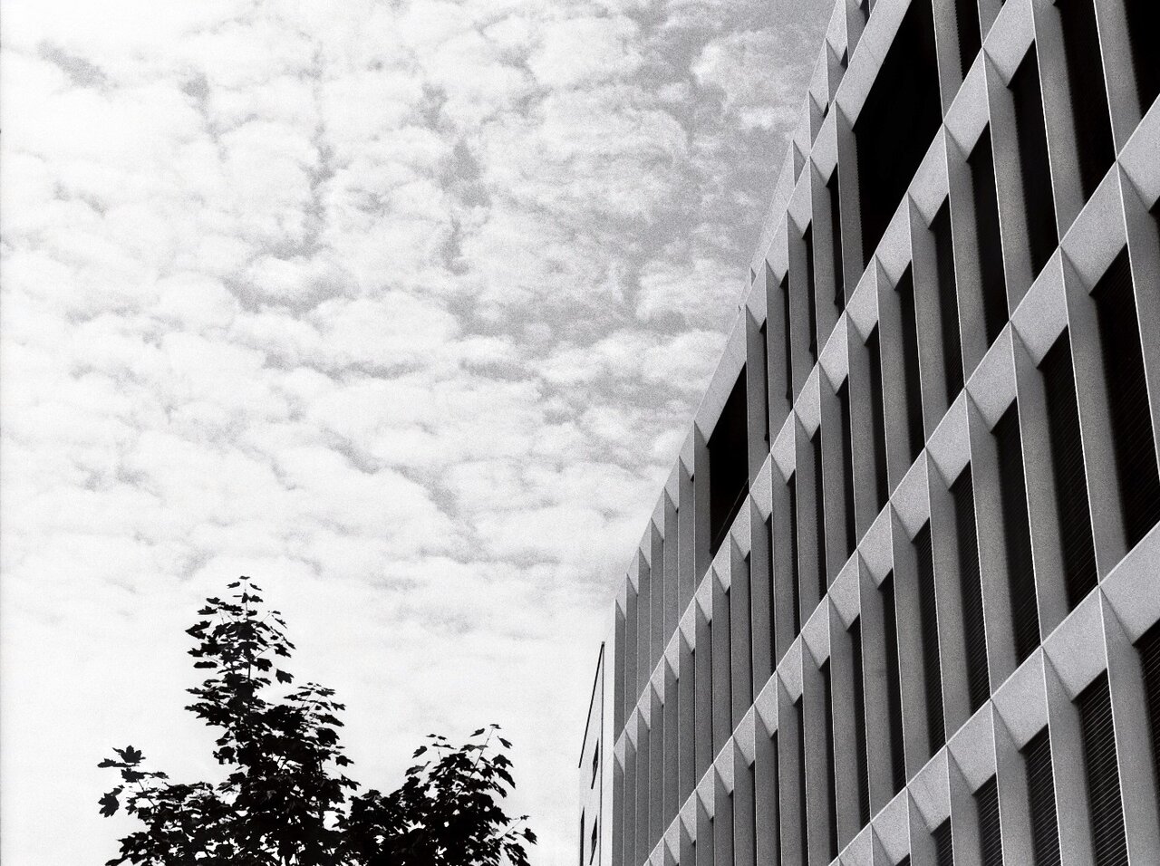 imm008_N8 crop.jpg