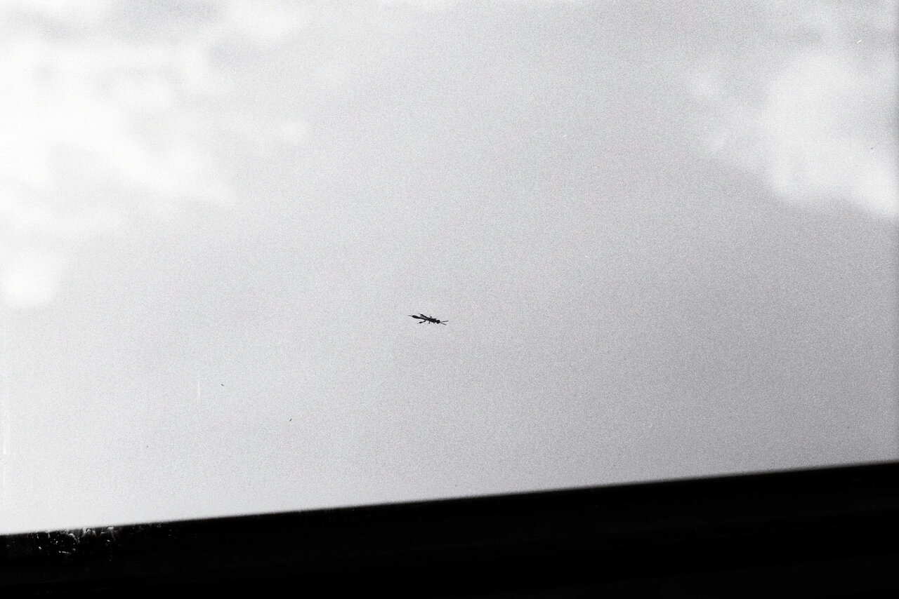 imm023_N23.jpg