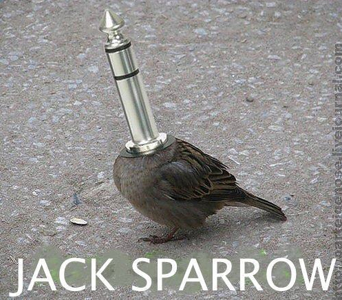 Jack Sparrow.jpg