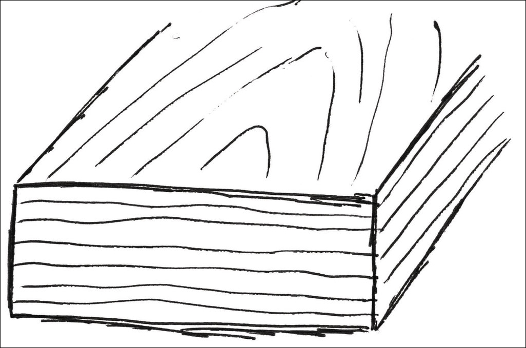 jahresringe-liegend.jpg