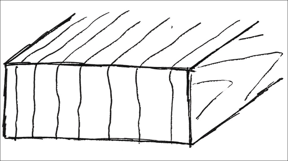 jahresringe-stehend.jpg