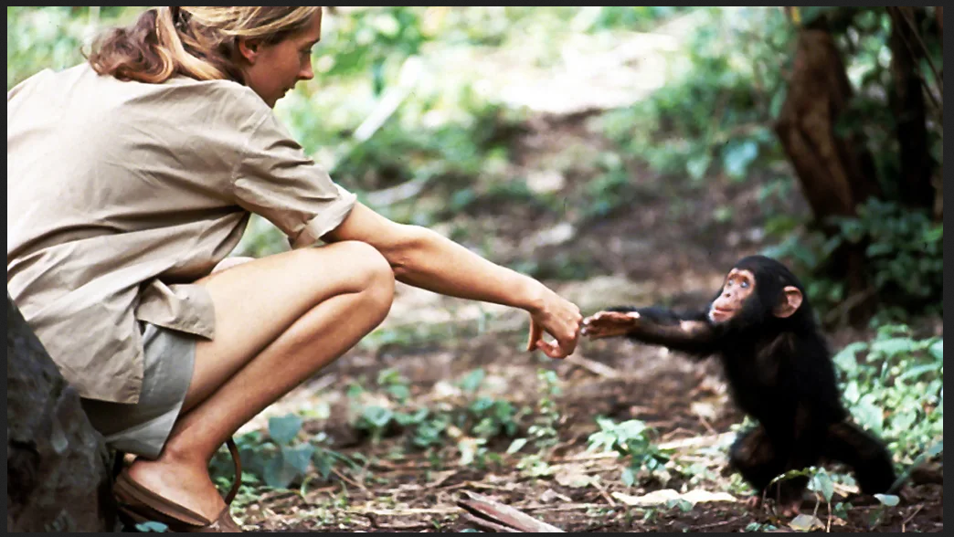 Jane Goodall Flint.png