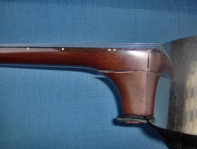 Johnson 998 Neck.webp