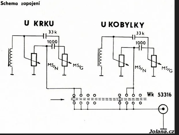 jolanaLP.webp