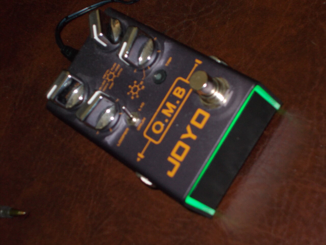 Joyo.JPG