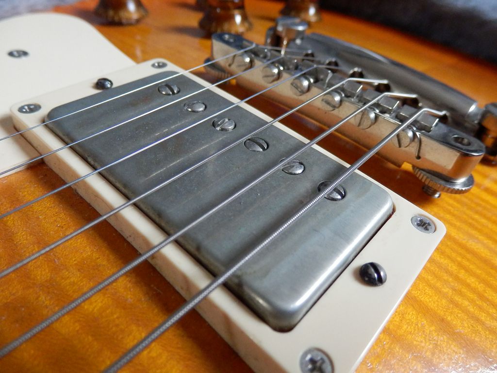 k-P5160166.JPG