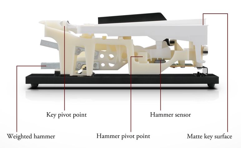 Kawai Responsive Hammer Compact.jpg