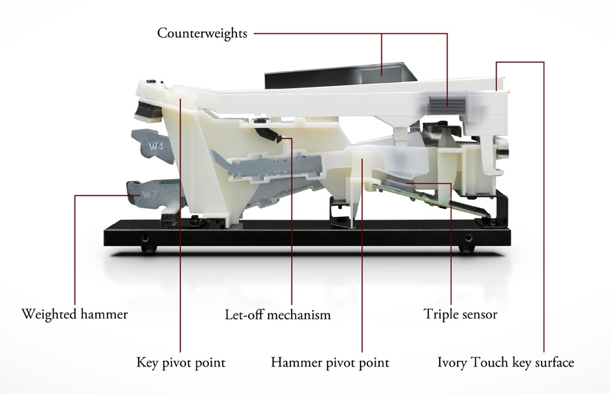 Kawai Responsive Hammer III.jpg