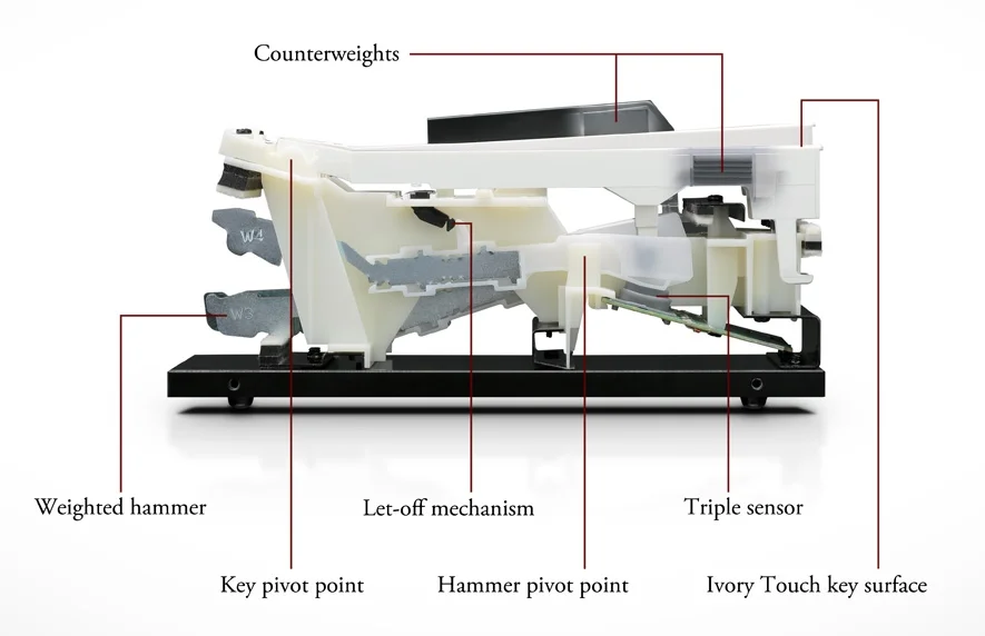 Kawai Responsive Hammer III.jpg