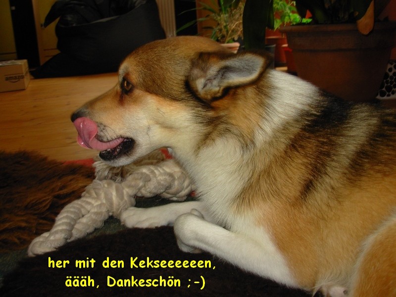 kekseeee.jpg