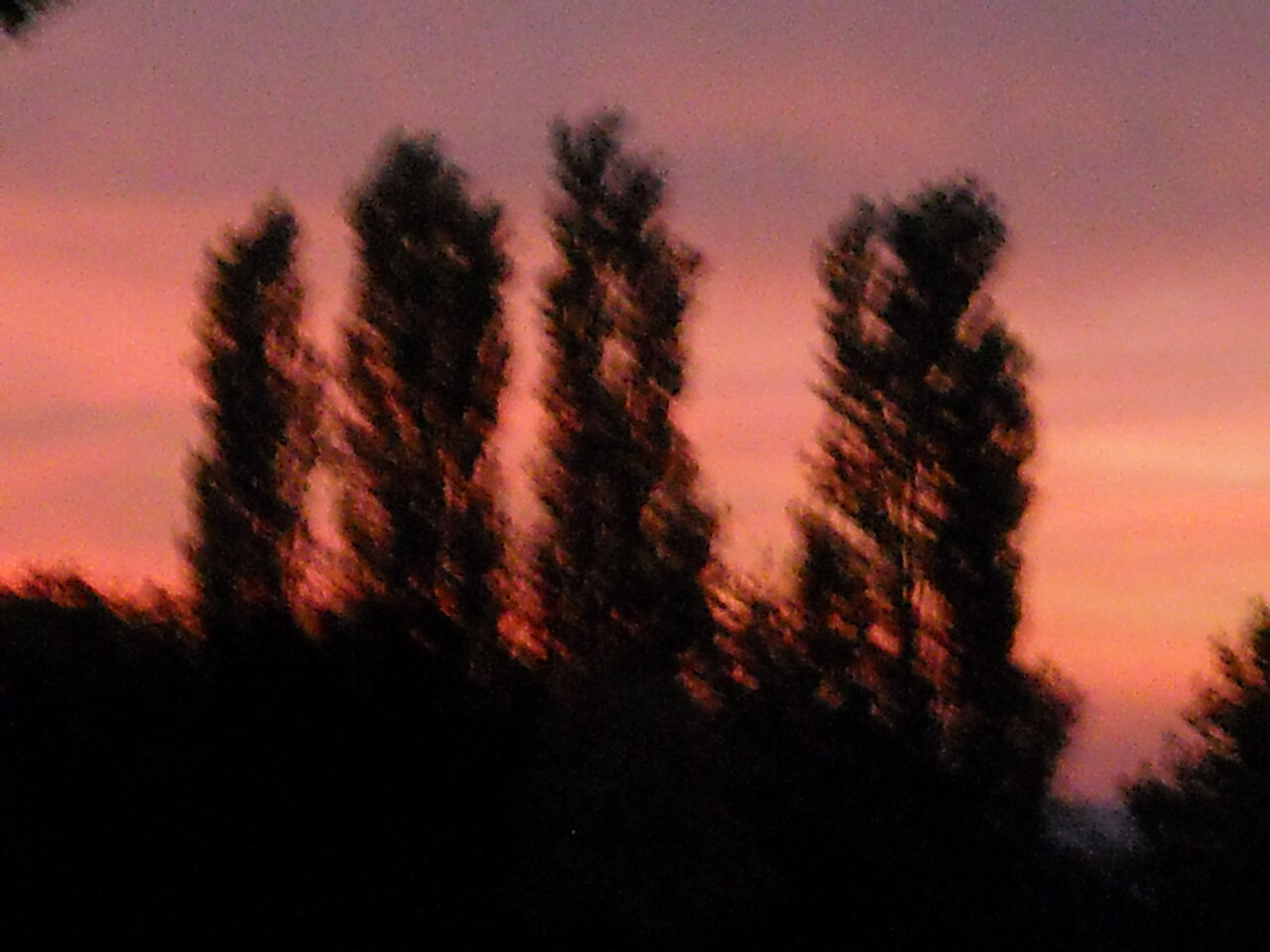 kingbritt Abendblick.JPG