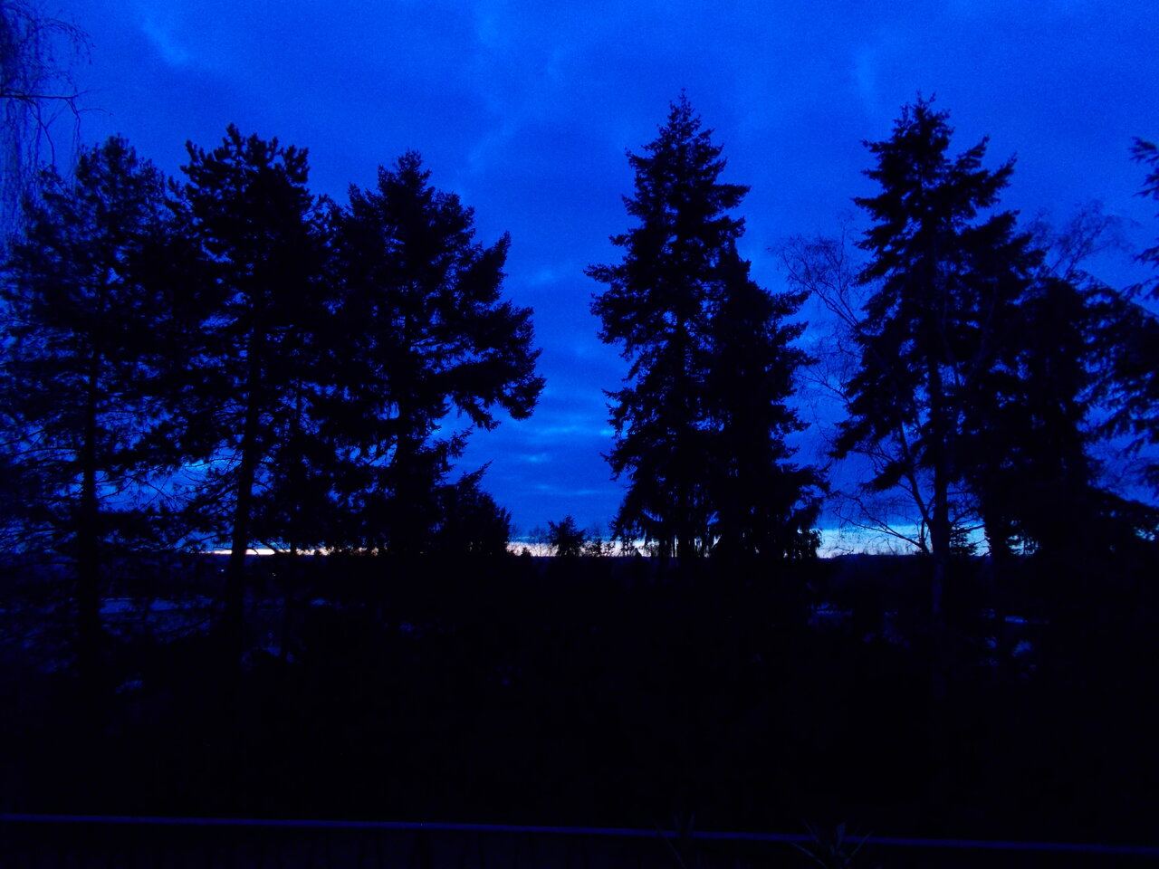 kingbritt blue.JPG