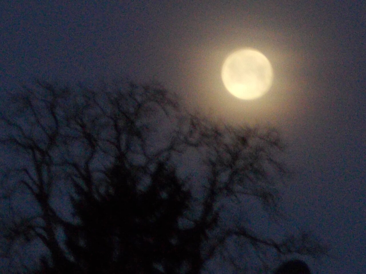 kingbritt moon.jpg