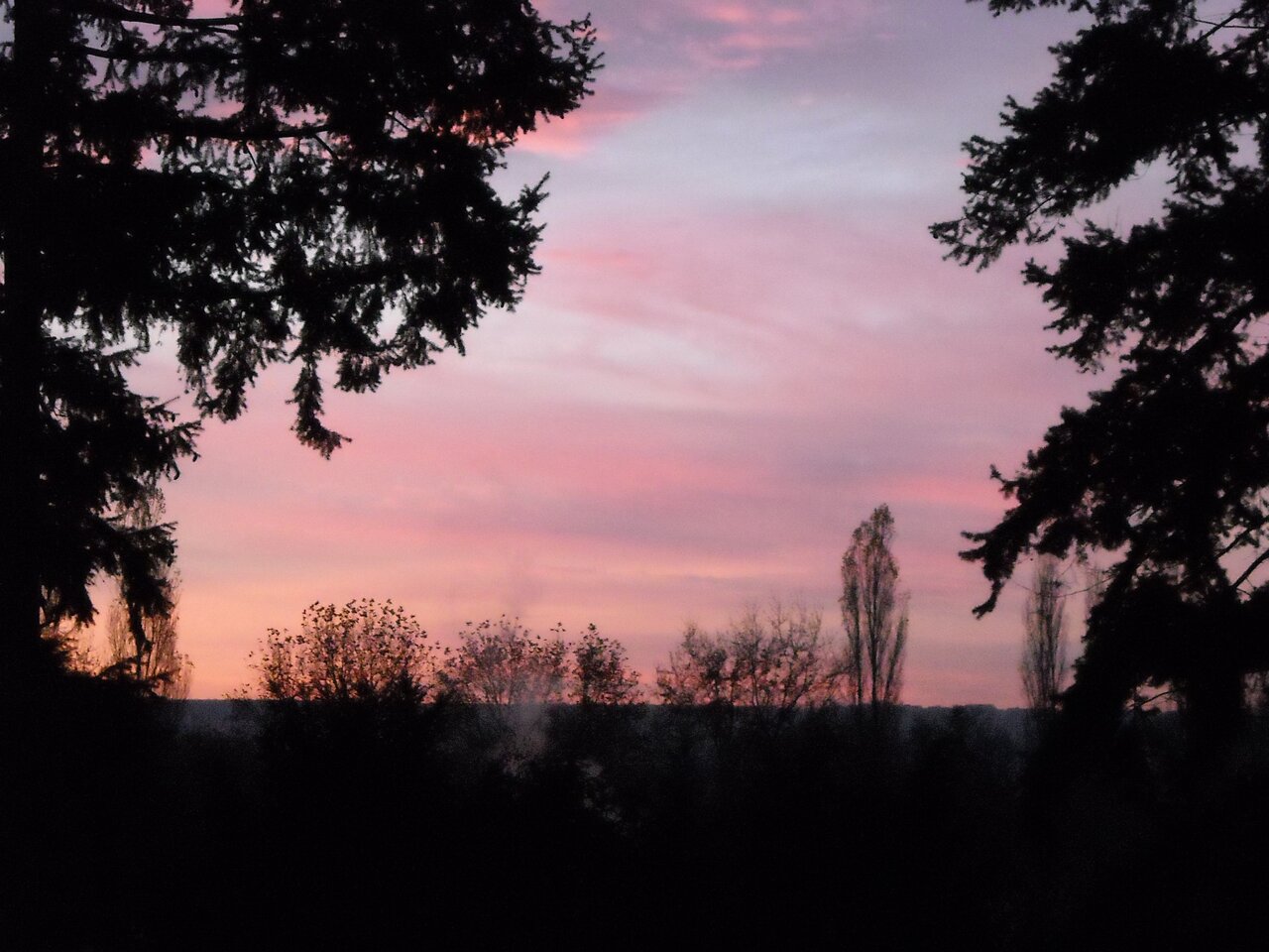 kingbritt morning view.jpg
