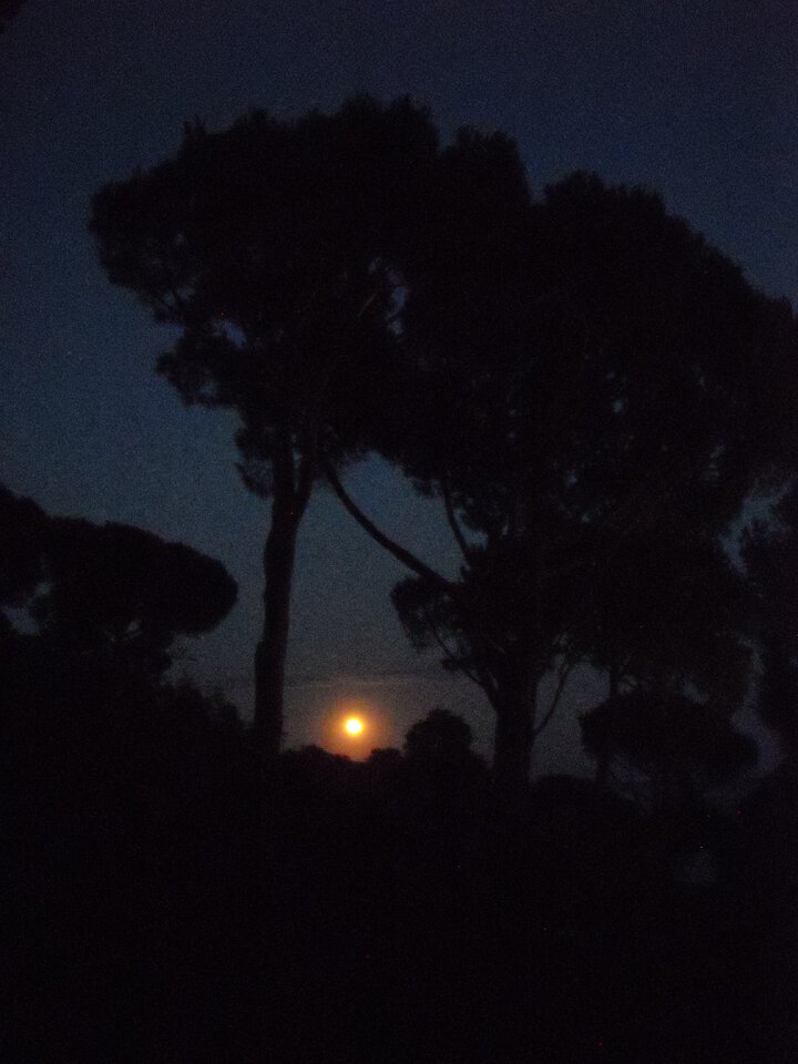 kingbritt see the moon.JPG