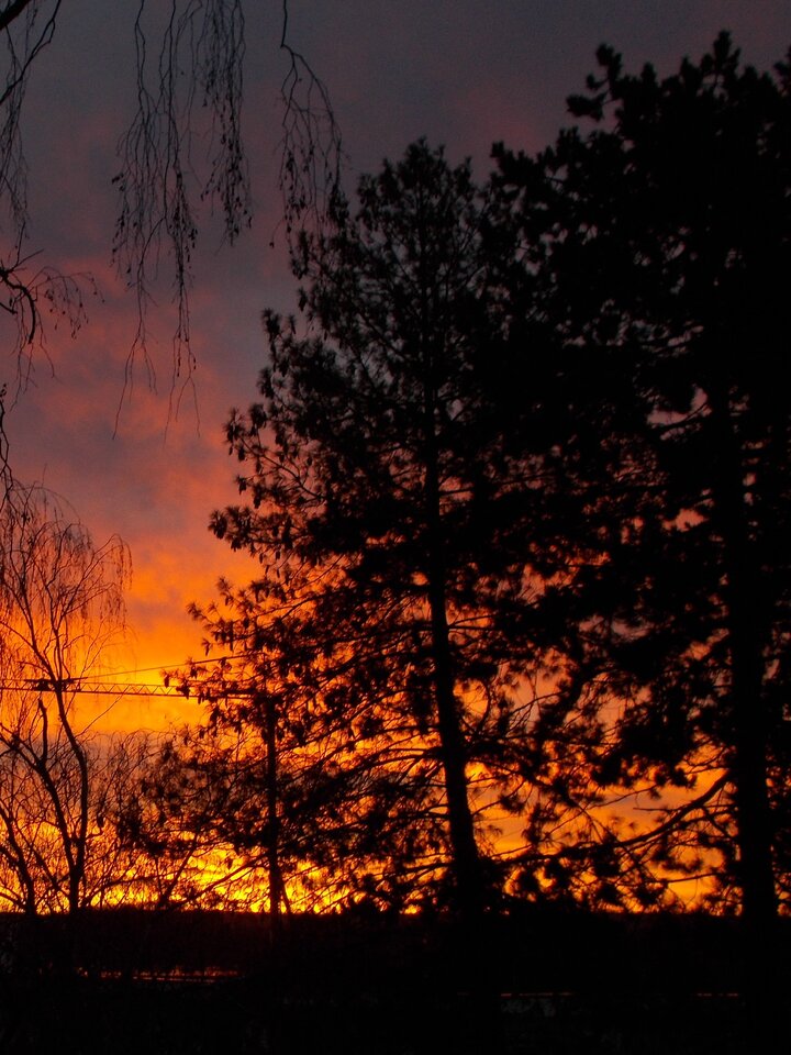 kingbritt sonnenuntergang.jpg