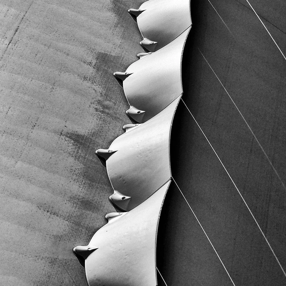 Kunst oder Nichtkunst ....webp