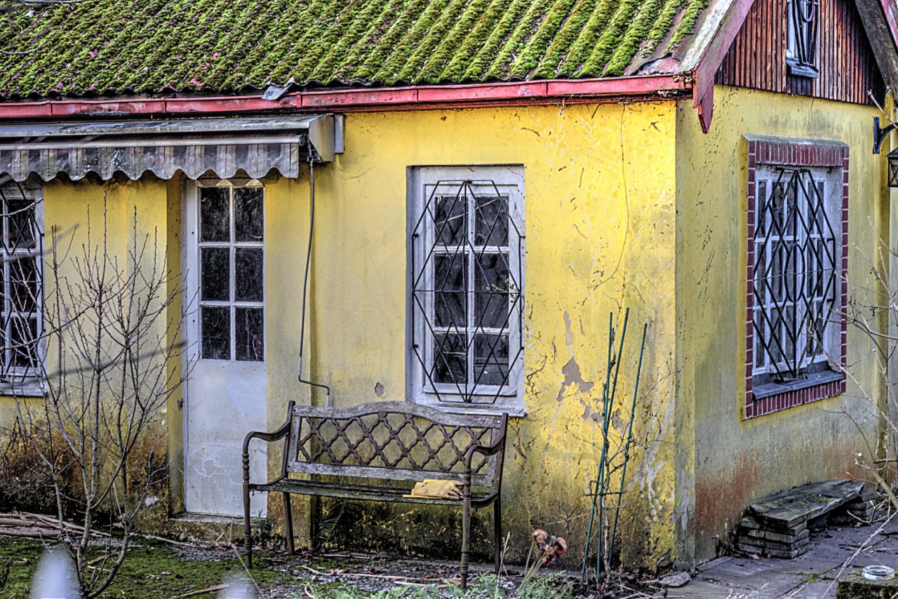 laube-gelb-2.jpg