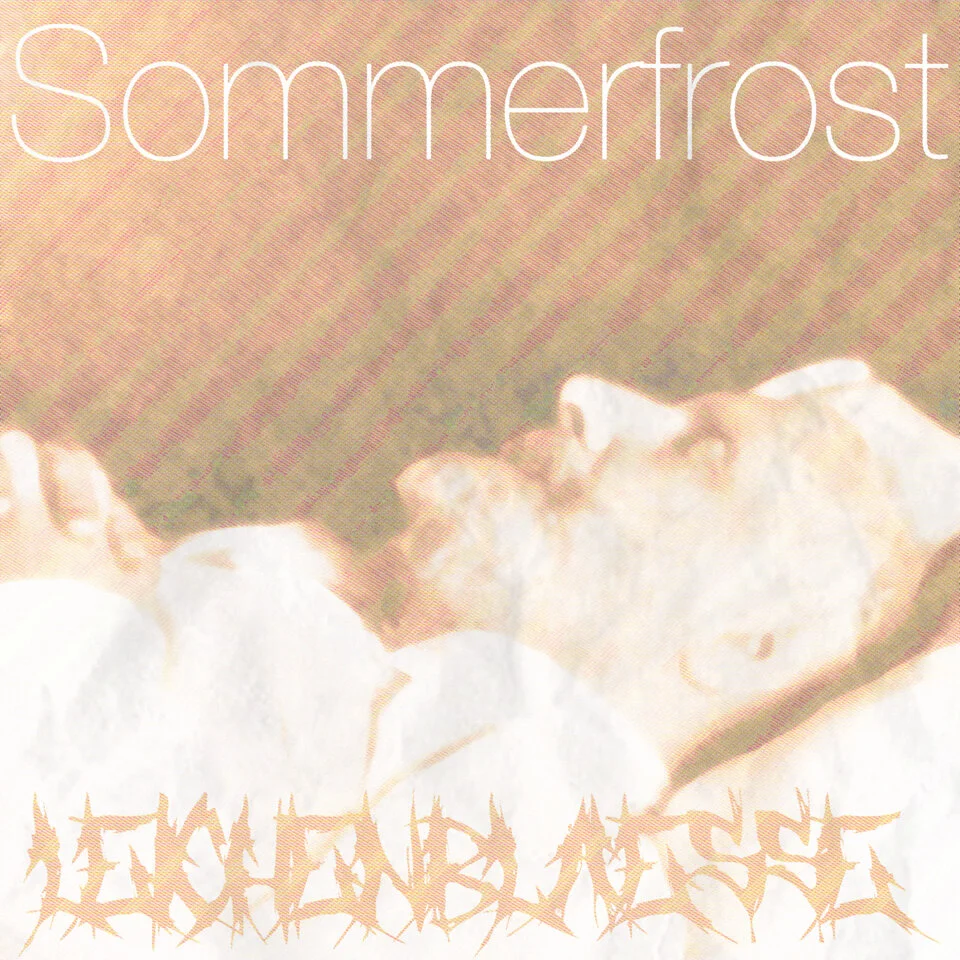 Leichenblässe Cover.jpg