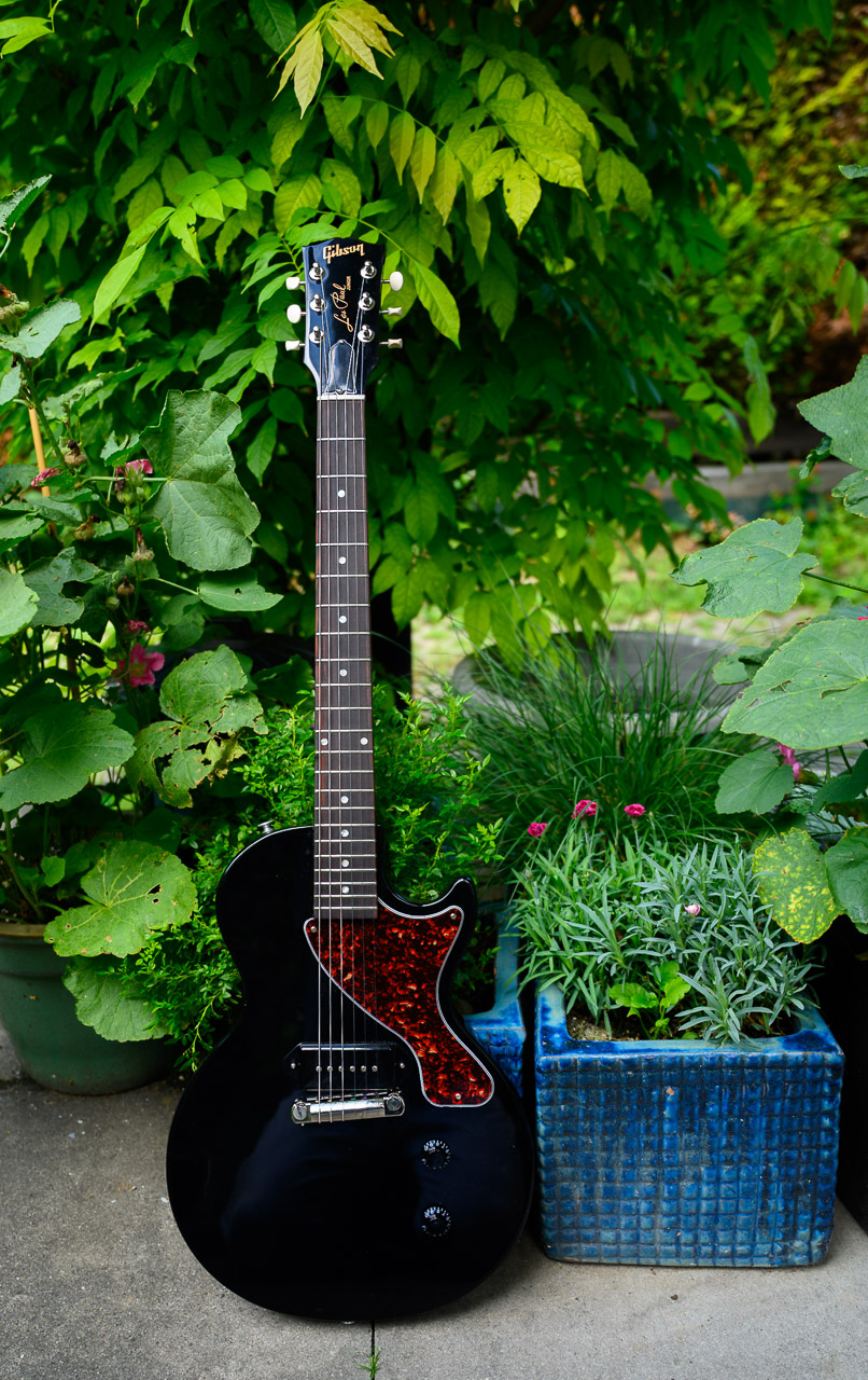 lp junior-1.jpg