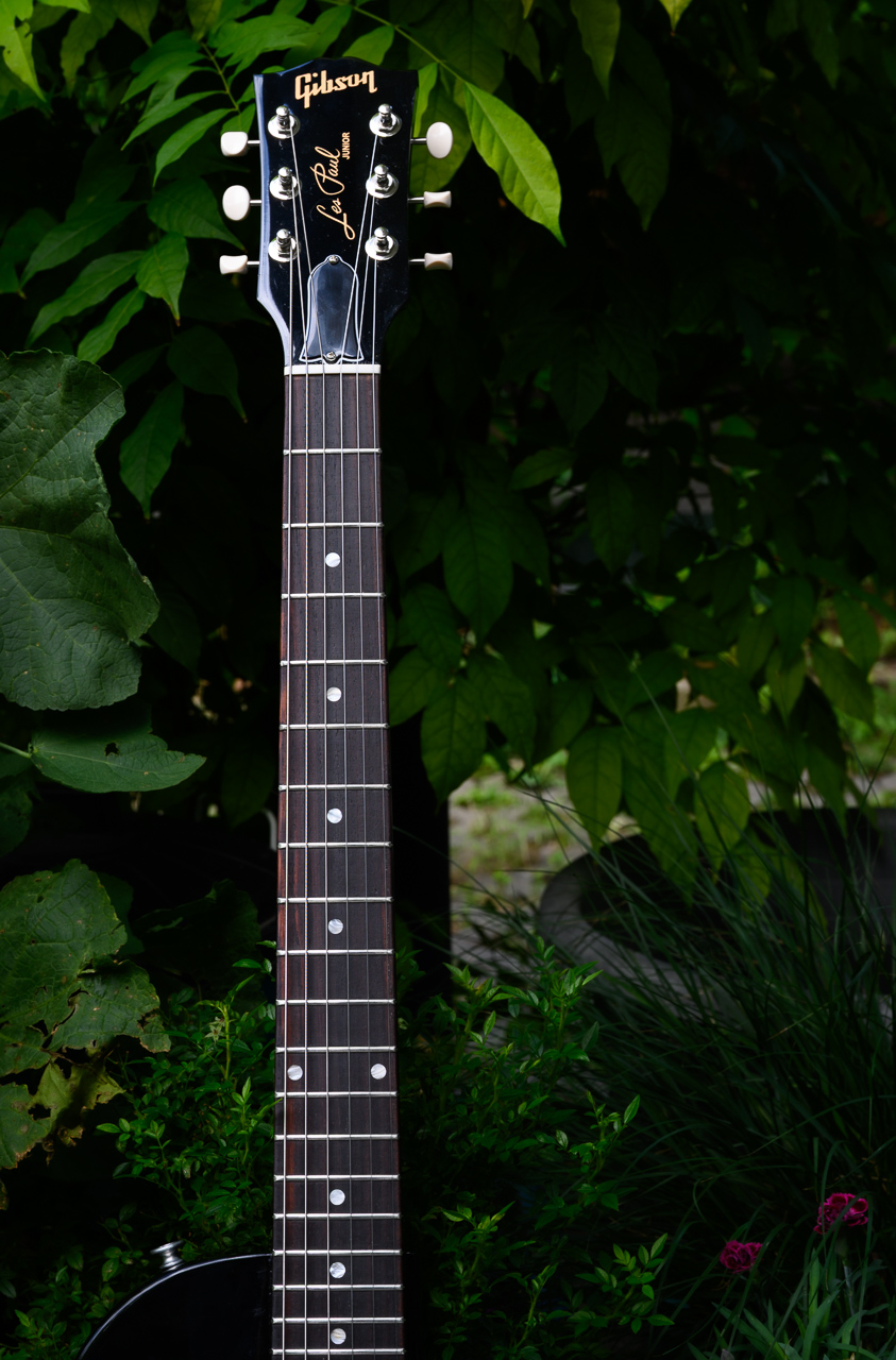 lp junior-2.jpg
